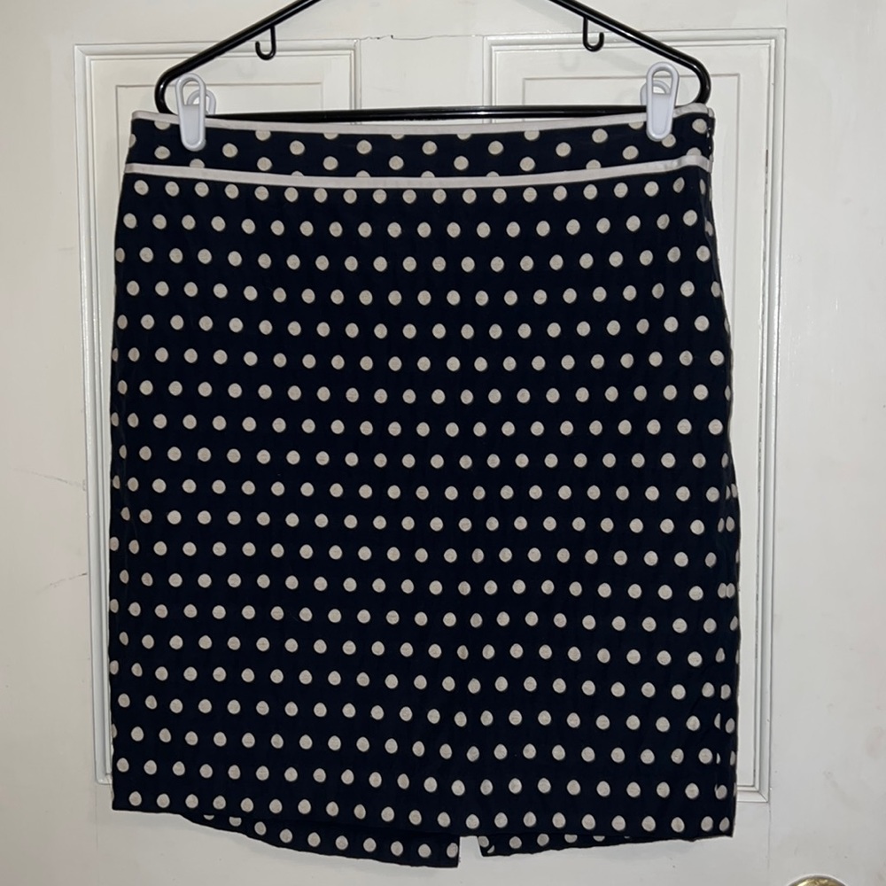 The Limited skirt